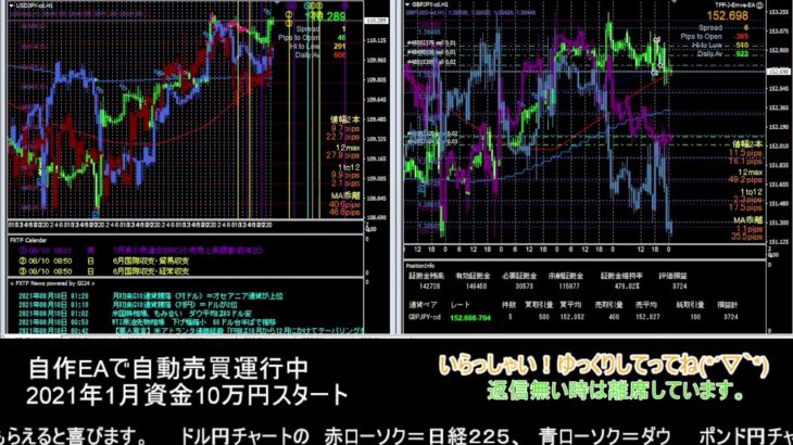 【FX】🍵MT4システムトレード自動売買🍵【EA】2021/0809