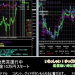 【FX】🍵MT4システムトレード自動売買🍵【EA】2021/0825