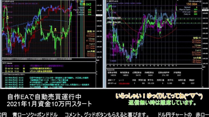 【FX】🍵MT4システムトレード自動売買🍵【EA】2021/0825