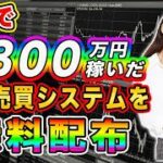 全員対象！参加無料！半年で8800万円稼いだFXミラートレードをお渡しします【FX】【バイナリー】