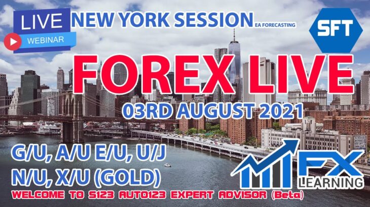 FOREX LIVE NEW YORK SESSION FOREX EA FORECASTING 03RD AUGUST 2021 GOLD GBPUSD EURUSD AUDUSD USDCHF