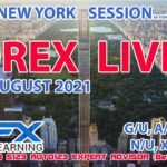 FOREX LIVE NEW YORK SESSION FOREX EA FORECASTING 05TH AUGUST 2021 GOLD GBPUSD EURUSD AUDUSD USDCHF