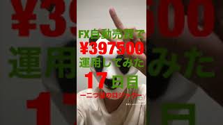 #17日目　FX自動売買ソフト(自作)39万7500円運用してみた！  #shorts