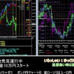 【FX】🍵MT4システムトレード自動売買🍵【EA】2021/0824