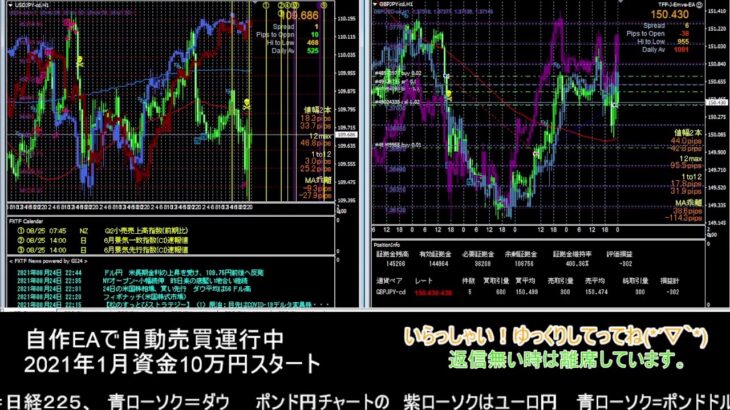 【FX】🍵MT4システムトレード自動売買🍵【EA】2021/0824