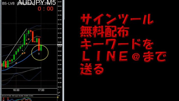 8/4　バイナリーライブ配信　消える通貨ペア　どうなる？ハイロー【FX的ハイロー攻略】