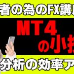 【FX初心者講座】MT4も小技集！分析の効率を上げる裏技公開【投資家プロジェクト億り人さとし】