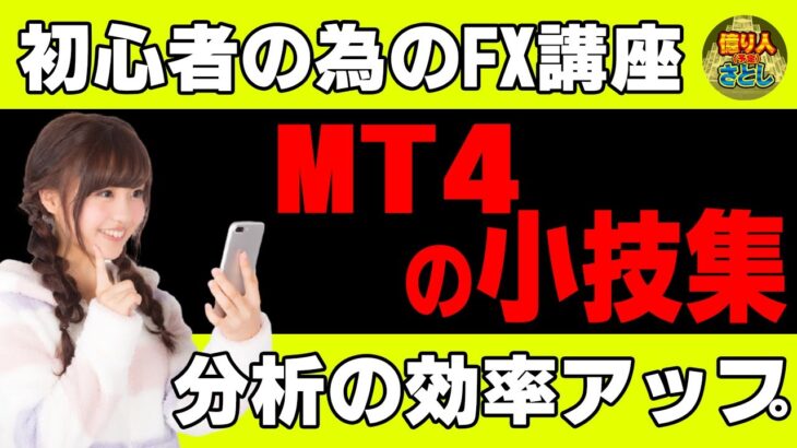 【FX初心者講座】MT4も小技集！分析の効率を上げる裏技公開【投資家プロジェクト億り人さとし】