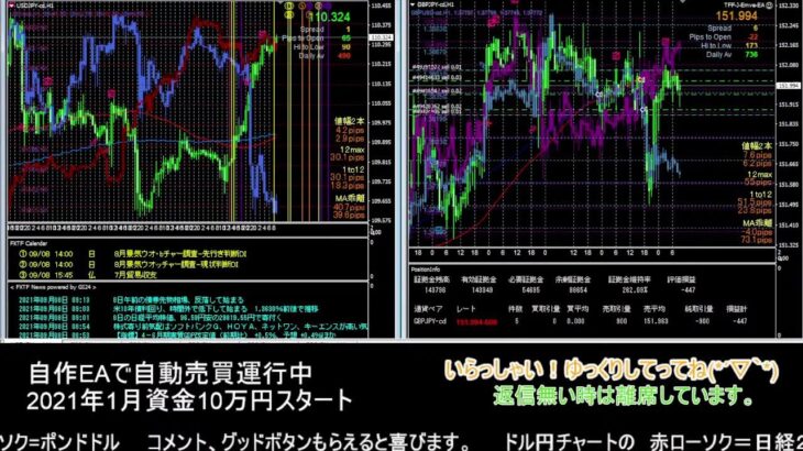 【FX】🍵MT4システムトレード自動売買🍵【EA】2021/0908