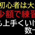 FX初心者おすすめトレード手法無料公開【欲張らず勝ちを優先して実践】スキャルピングテクニック,チャートの見方