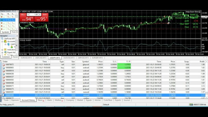Hedge Expert Automated Trading Forex Software-Auto Trading Bot-6 Months-Profitable Forex EA Robot
