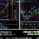 【FX】🍵MT4システムトレード自動売買🍵【EA】2021/10/11