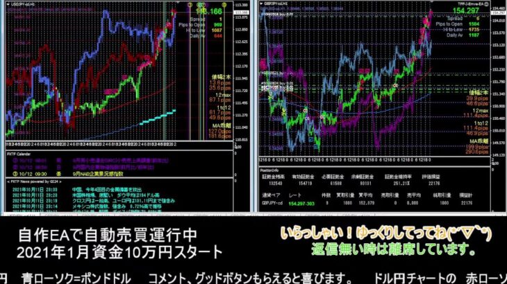 【FX】🍵MT4システムトレード自動売買🍵【EA】2021/10/11