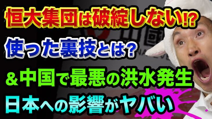 恒大集団は破綻「しない」、使った裏技と真偽を解説【日本への影響もヤバい、中国で最悪の洪水】合生創展集団と花様年控股集団