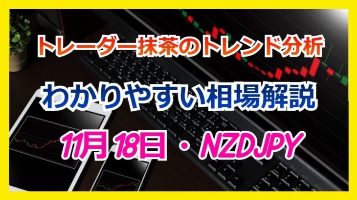 Du-R   【FX】トレンド分析　　11月18日NZDJPY