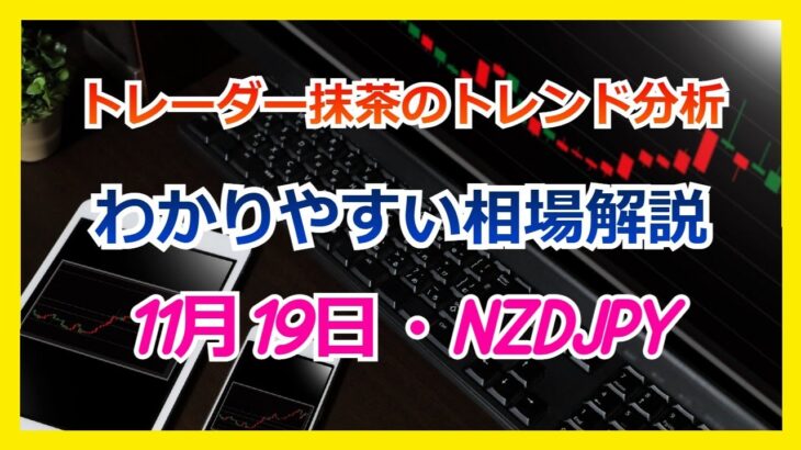 Du-R   【FX】トレンド分析　　11月19日NZDJPY