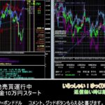 【FX】🍵MT4システムトレード自動売買🍵【EA】2021/11/02