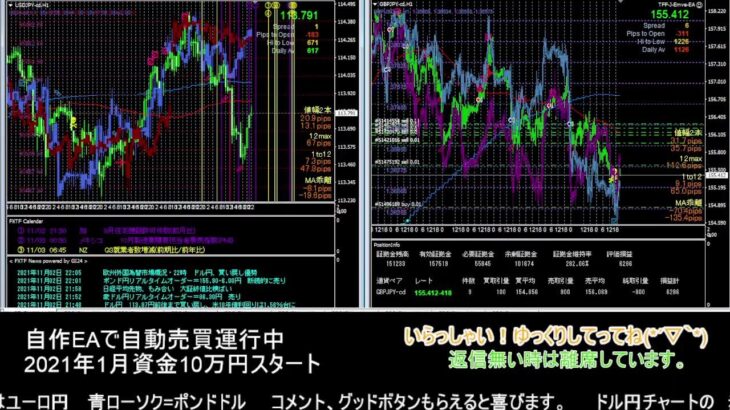 【FX】🍵MT4システムトレード自動売買🍵【EA】2021/11/02