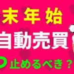 【fx自動売買ea初心者】年末年始は自動売買をいつから止めるべき?