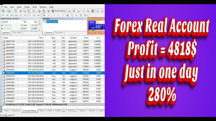 Forex real account from 2000$ to 6818$ more than 280% profit live forex proof unique forex strategy