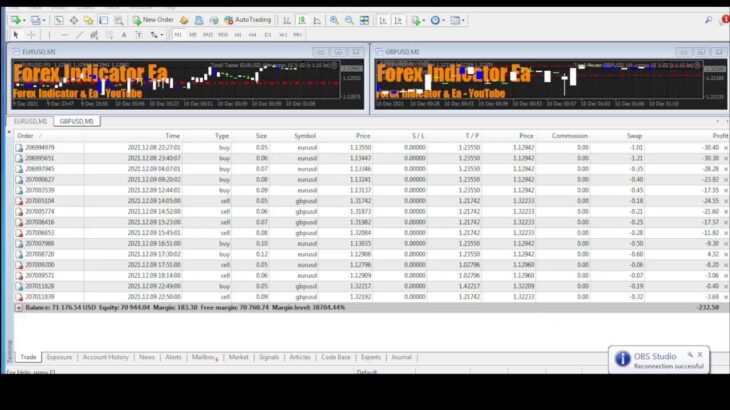 Live Forex Signals 1Min EURUSD && GBPUSD 24/7 Full Automated EA