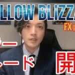 【FX自動売買】SWALLOW BLIZZARD ミラートレード開始！！