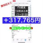 ＋317,765円【FX成績報告】【12月まとめ】#Shorts