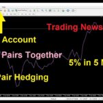 5% in 5 Minutes | Forex Multi Pair Hedging EA | Super Correlation Fx Robot | Running in News Time