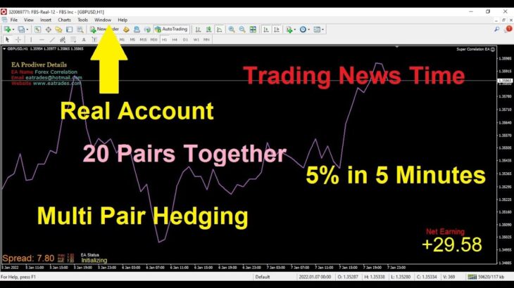 5% in 5 Minutes | Forex Multi Pair Hedging EA | Super Correlation Fx Robot | Running in News Time