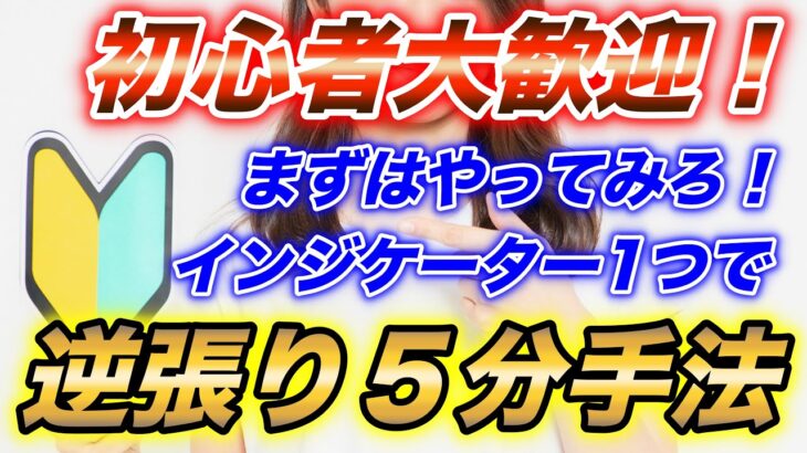 バイナリー初心者大歓迎！インジケーター1つで出来る逆張り5分手法！【BINARY】【FX】