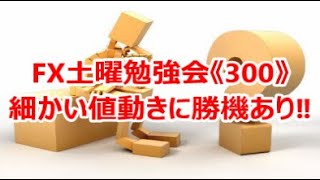 FX土曜勉強会《300》　細かい値動きに勝機あり‼