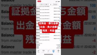 裏技FX実績公開　100万円運用　1月12日〜2月12日まで