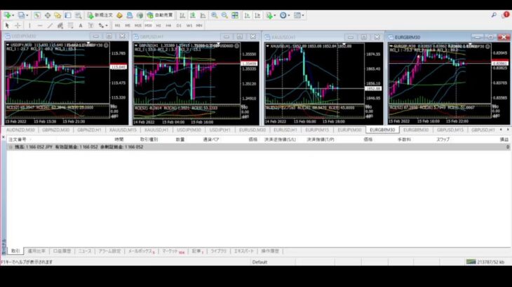 FX 自動売買 EA Tycoon ライブ配信 シグナル 2022/2/15