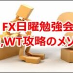 FX日曜勉強会　WB,WT攻略のメソッド