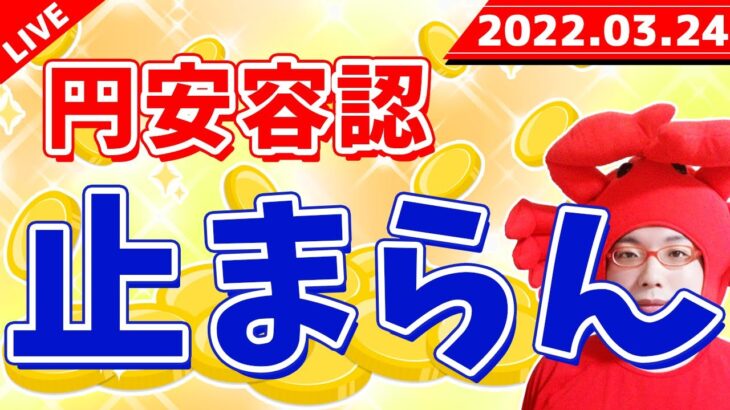 《円安容認、止まらない》2022年3月24日（木）FX実況生配信カニトレーダーチャンネル生放送1067回目