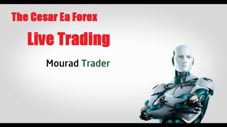 The Cesar Ea Forex.Live Trading 2 Day