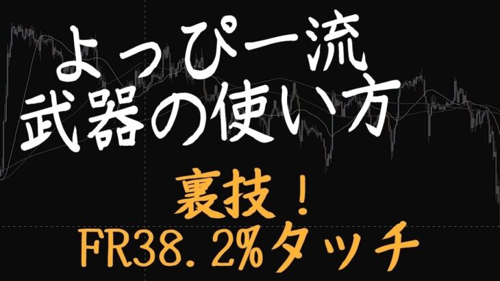 【初めてのFX】FR38.2%タッチ！【裏技！】