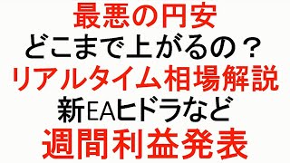 【FX】最悪の円安はどこまで行く？新EAなど週間利益発表