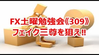 FX土曜勉強会《309》フェイク三尊を狙え‼