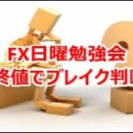 FX日曜勉強会 週足終値でブレイク判断せよ