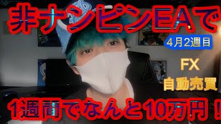 【FX自動売買】4月2週目　非ナンピンEAで1週間で10万円！！