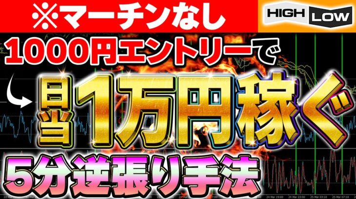 【※マーチンなし】バイナリーオプションを1000円で攻略！日当1万円は稼げる5分逆張り手法を伝授します！【ハイローオーストラリア　必勝法】【初心者 副業】【FX　投資】