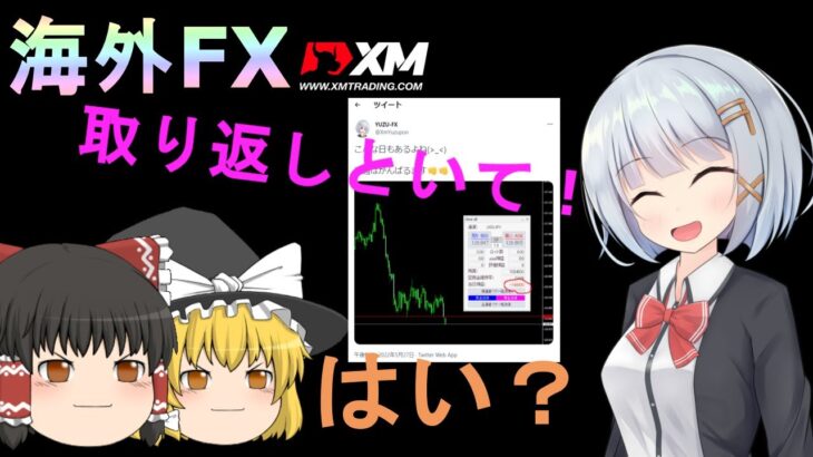 【FX XM】【ゆっくり実況】10ロットで2日分を巻き返す？ハイレバトレード！