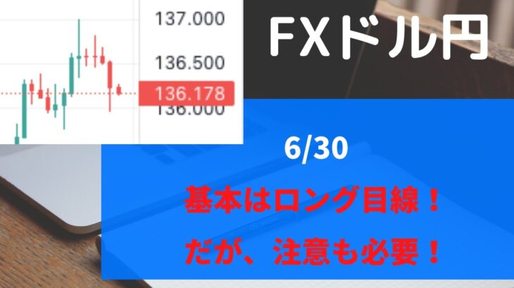 【FX　ドル円 ６月３０日】引き続きロング目線だがいくつか注意も必要？？