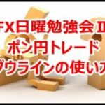 FX日曜勉強会Ⅱ ポン円トレード ダウラインの使い方