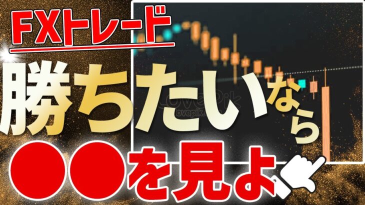 【FX】経験値関係なし！決まった日時にトレードして稼げる裏技トレード