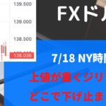 ※23時50分ごろの動画【FX　ドル円 ７月１８日】利上げの期待が剥がされ上値が重い！反発できるのか？