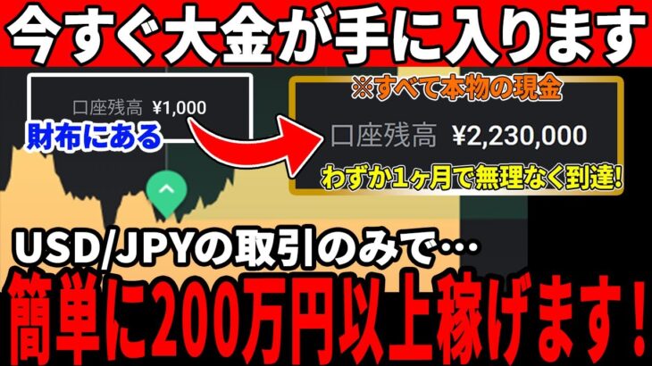 1000円スタートで「利益200万円以上」を実現！億トレーダー直伝の”バイナリ―で負けを無くす方法”を解説します！【バイナリーオプション】【お金】【FX 】【副業】