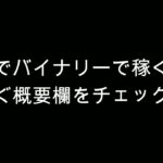 ハイローオーストラリア口座凍結怖いので低額でバイナリーオプションエントリーしてみた