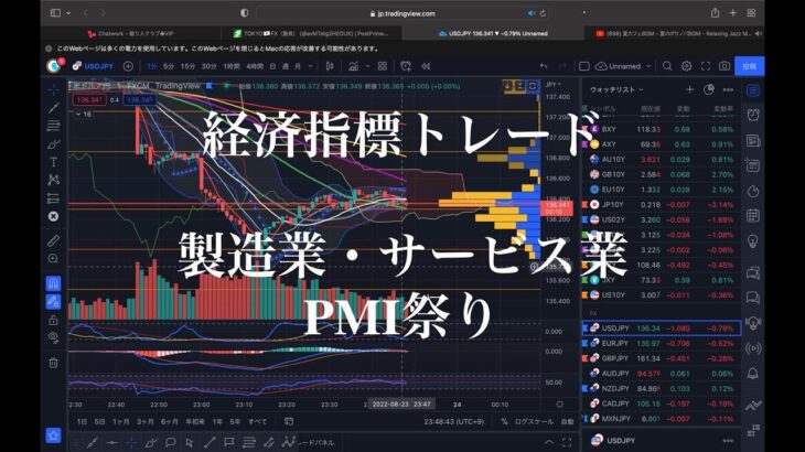 FX 経済指標トレード　必勝法　PMI祭り